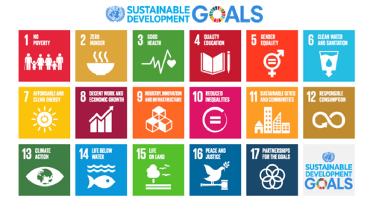 <p>a universal call to action by the U.N. to end poverty, protect the planet, and ensure that all people enjoy peace and prosperity; progress in development is measured through activities such as microloans (lending to small scale borrowers) and public transportation projects (infrastructure)</p>