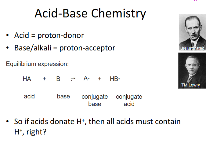 <p>Acid Base Chemistry</p>