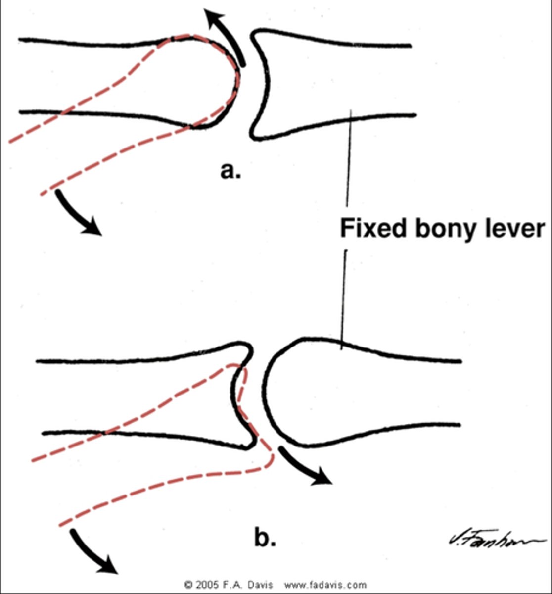 <p>It alternates Opp and Same so</p><p>Shoulder- opp</p><p>Elbow- same</p><p>Proximal RU- opp</p><p>Distal RU- same</p><p>Wrist- opp</p><p>Fingers- same</p><p>Hip- opp</p><p>Knee- same</p><p>Ankle- opp</p><p>Toes- same</p>