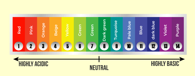 <p>acid = red</p><p>neutral = green</p><p>alkaline = purple</p>