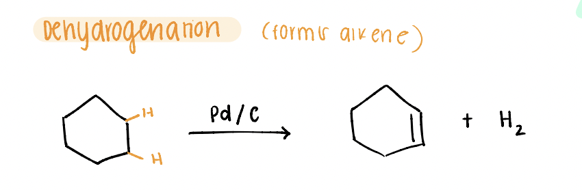 <p>FORMS alkene </p>