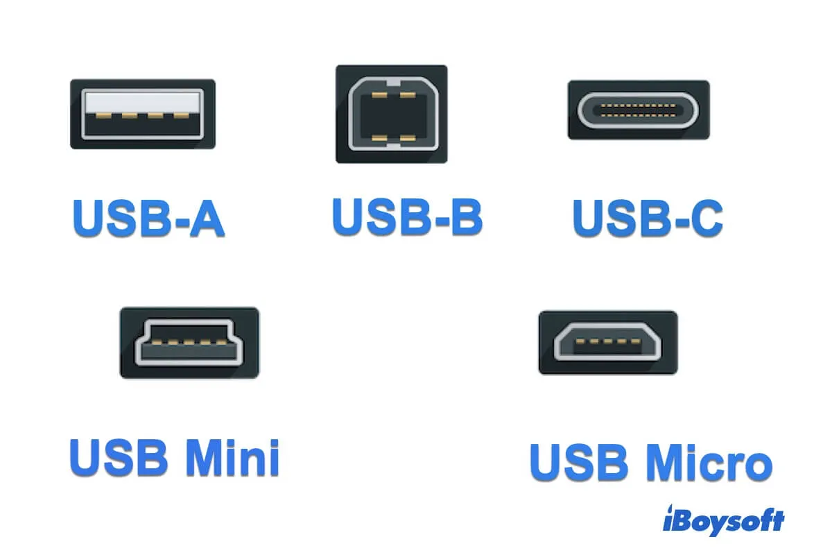 <p>USB B <br><br>Used for larger devices like printers <br><br>USB type B has multiple variations: connector, mini connector, and micro connector <br><br>Mini connector is found on early tablets and smartphones <br><br>Micro is used for wearables, smart glasses, and small music players</p>