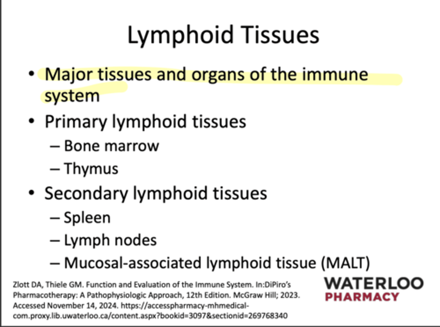 <p>Bone Marrow &amp; Thymus</p>