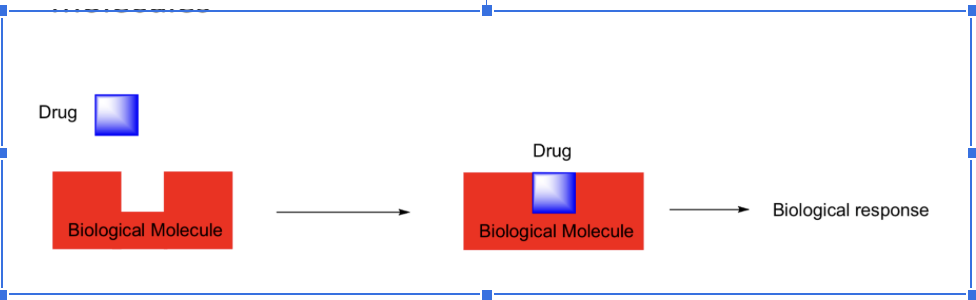 <ul><li><p><span style="background-color: transparent;">Proteins are the most common target</span></p><ul><li><p><span style="background-color: transparent;">Nucleic acids are less common</span></p></li></ul></li><li><p><span style="background-color: transparent;">Drugs produce effects by binding to biological molecules&nbsp;</span></p></li></ul><p></p>