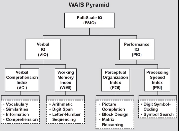 <p><span>the WAIS (Wechsler Adult Intelligence Scale) is one of the most widely-used standardized IQ tests&nbsp;</span></p><ul><li><p><span>IQ: an overall quantitative measure of an individual’s intelligence relative to that of other individuals</span></p></li></ul>