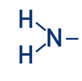 <p>amino group (NH2)</p>