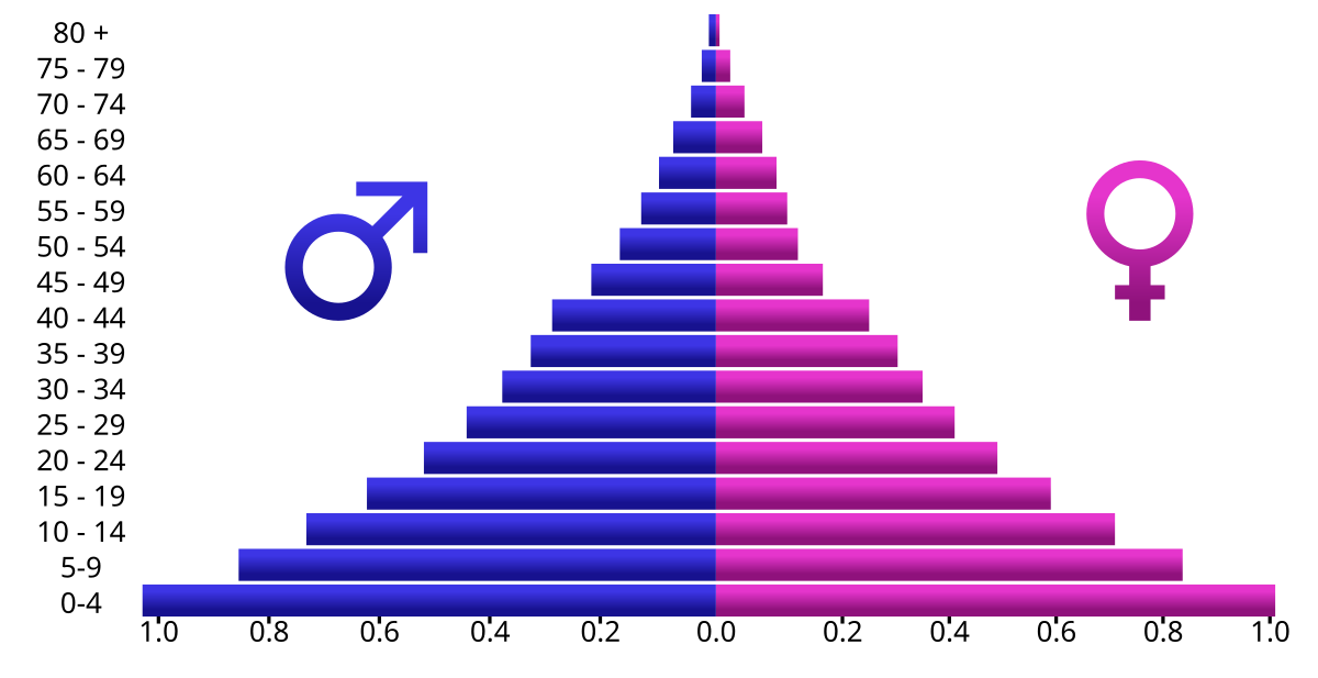 <p>Age-sex composition graph</p>