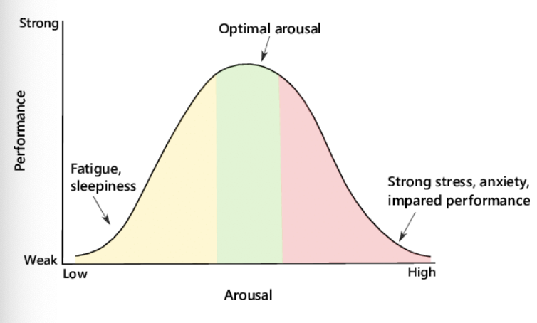 What is Optimal Performance