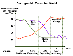 <p>What are the characteristics of Stage 2 in a Demographic Transition Model?</p>