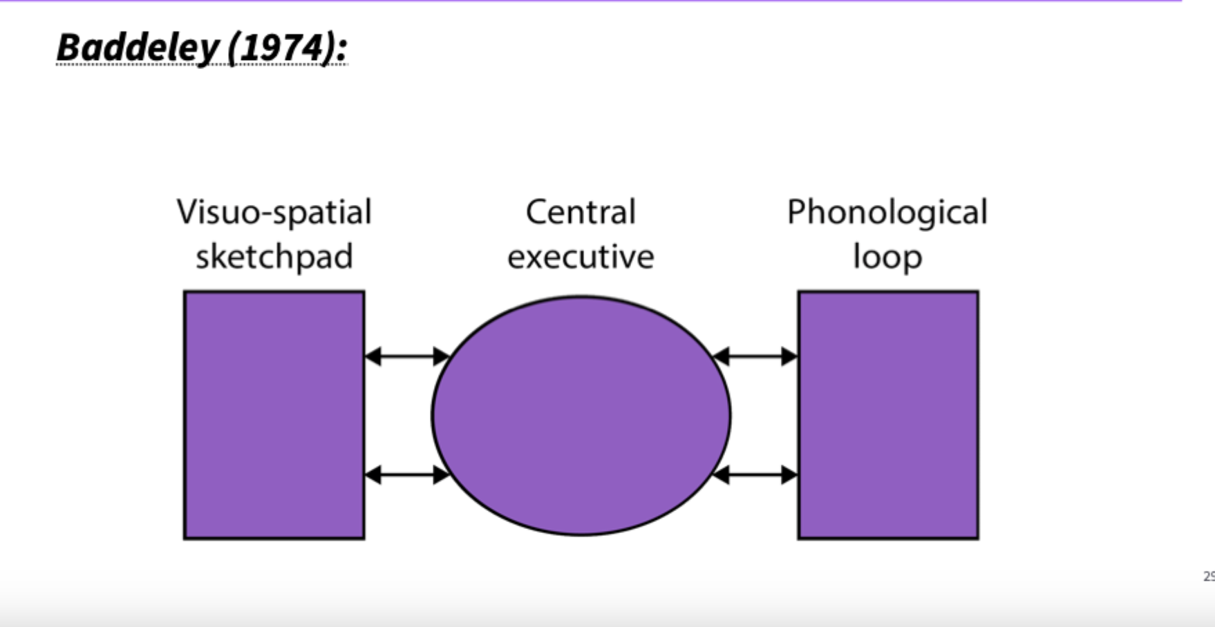 <ul><li><p>computer recall typing task where articulatory suppression was used to prevent rehearsal</p></li><li><p>Challenged Peterson and Peterson cuz participants remembered even as time passed on as long as theres no interference thus proving that decay isn’t a good cause of forgetting.</p></li></ul><p></p>