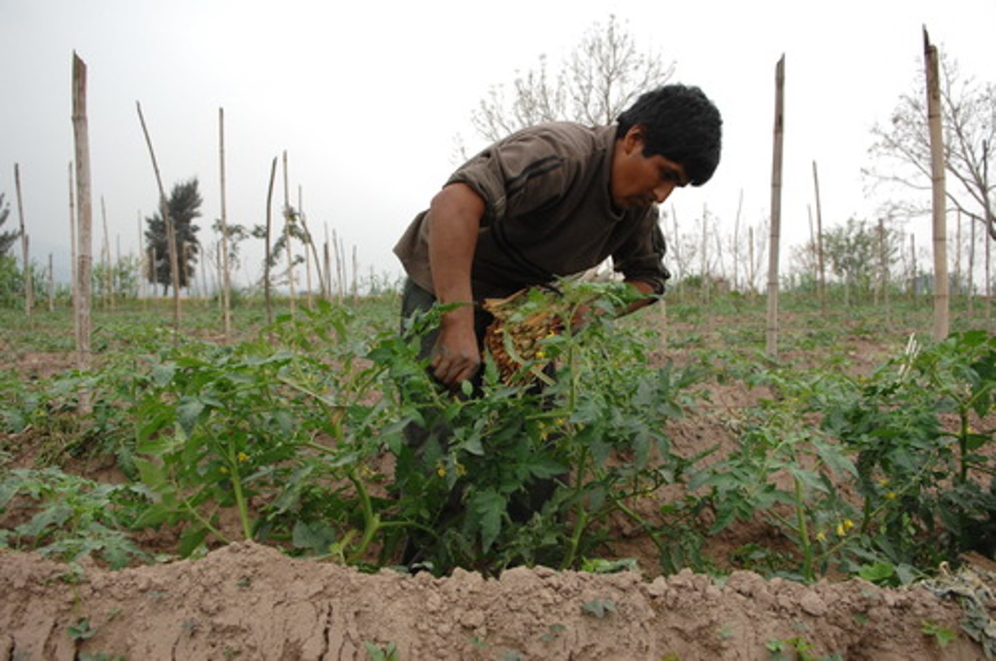 <p>The part of the economy that draws raw materials from the natural environment.</p>