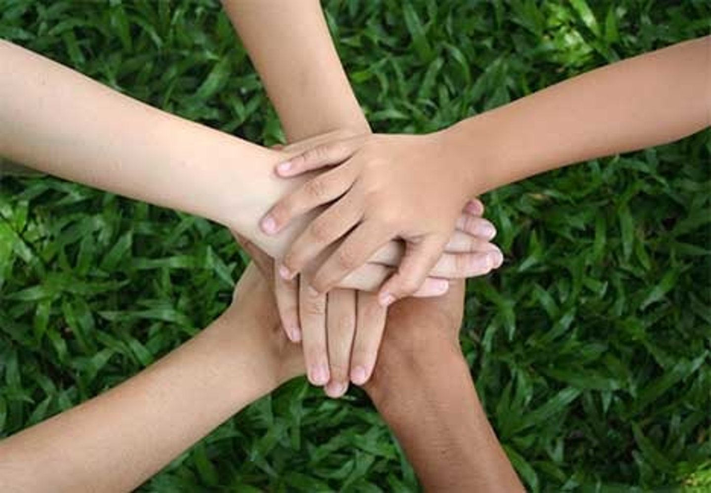 <p>all together</p>