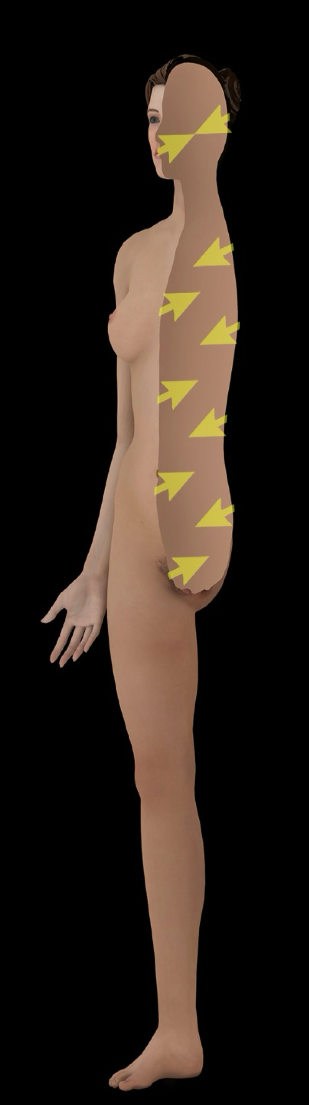 <p>away from the surface of the body or organ</p><p>-ex: bones are <strong>deep</strong> to skin and skeletal muscles</p><p>-opposite of anterior </p>