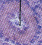 <p>Pharynx </p>