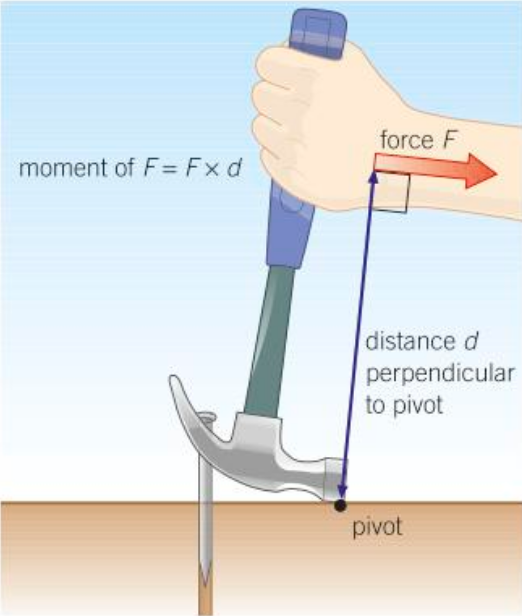 <p>Moment = Force x perpendicular</p><p>                               distance from </p><p>                               force’s line of </p><p>                             action to pivot</p><p><em>M = F x d</em></p><p><em>(Newton Metres, Nm) = (Newtons, N) x (Metres, m)</em></p>
