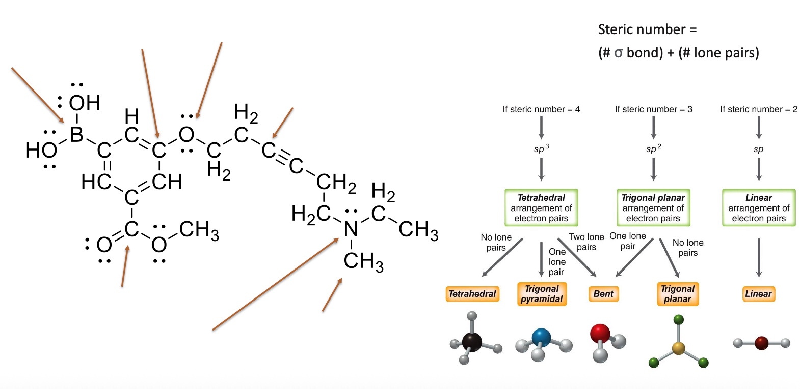 <p>Determine the steric number and molecular geometry</p>