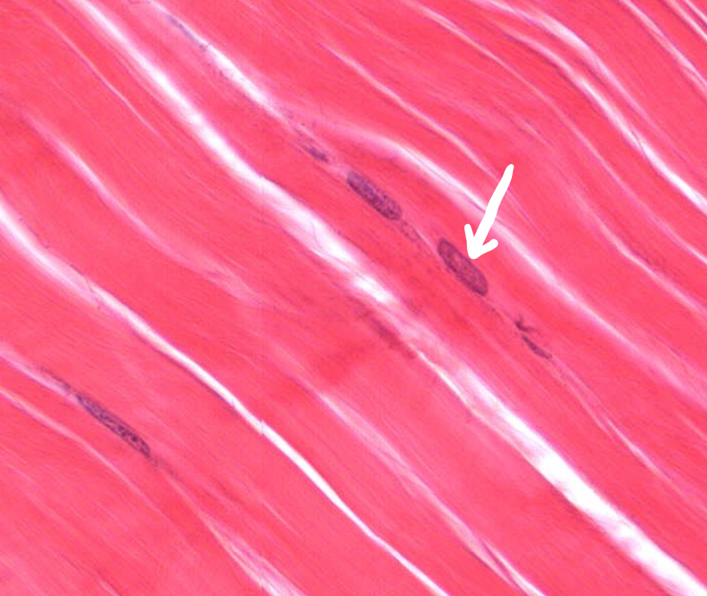 <p>What is this </p>