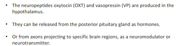 <ul><li><p>positive social behaviours within the same or different species</p></li><li><p>can involve individuals of the same or different sex (formation of pair bonds in voles; prosocial behaviours in humans)</p></li><li><p>the neuropeptides oxytocin and vasopressin are key for complex social behaviours</p></li></ul>