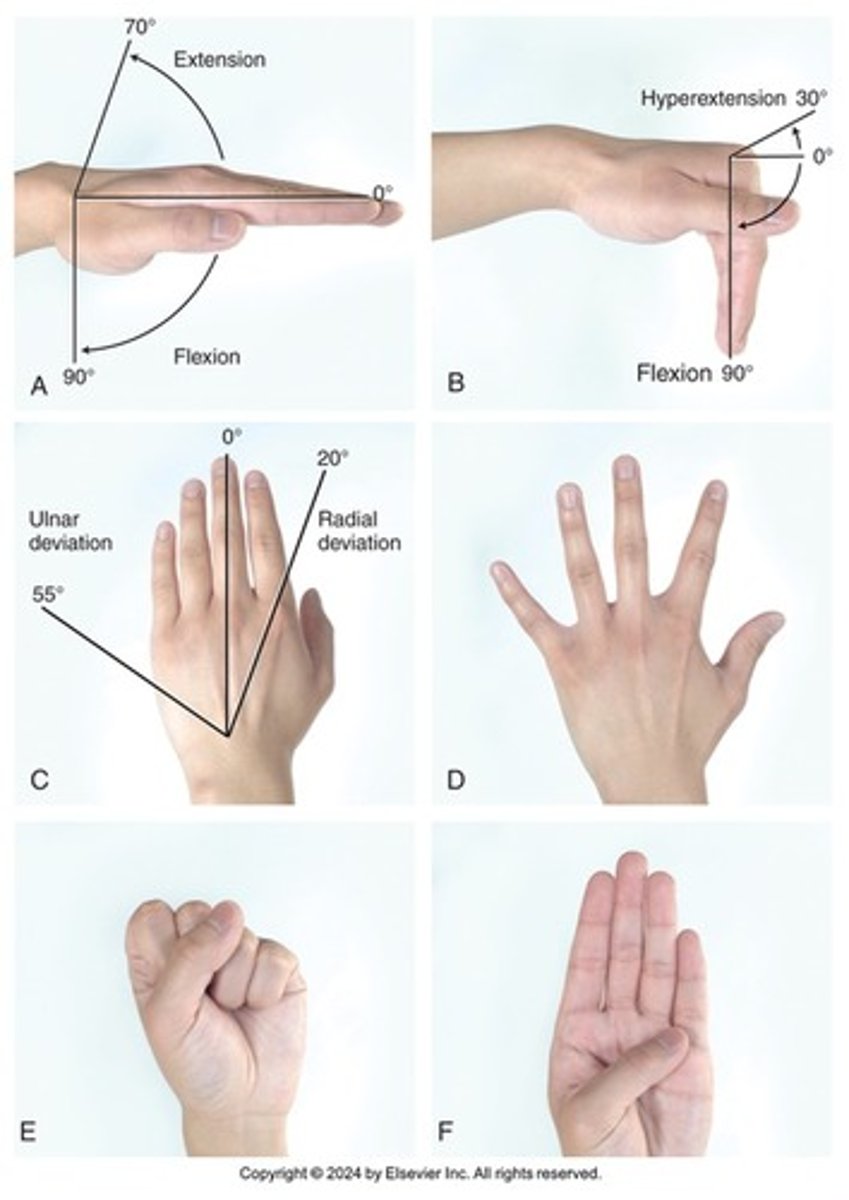 <p>-inspect both sides noting position, contour, shape, nodules, deformities etc.</p><p>-palpate each joint</p><p>-wrist and fingers flex/extend, 5 and 4 fingers, make a fist</p>