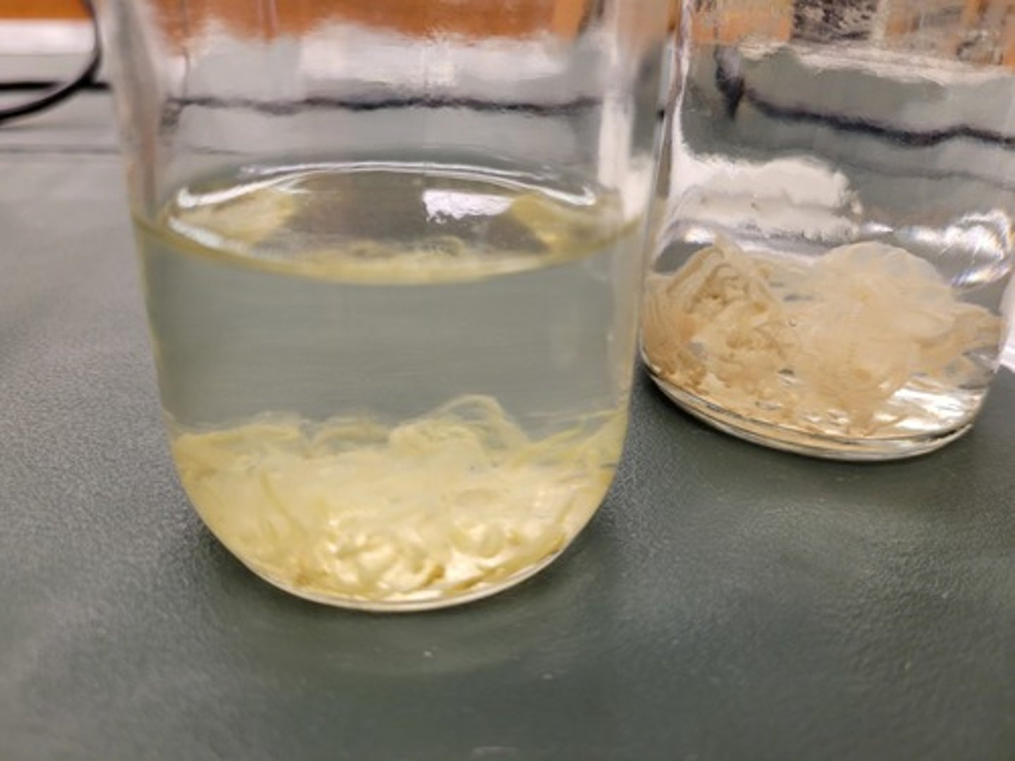 <p>Identify Taxonomy</p>