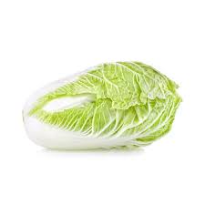 <p>Cabbage (chinese)</p>