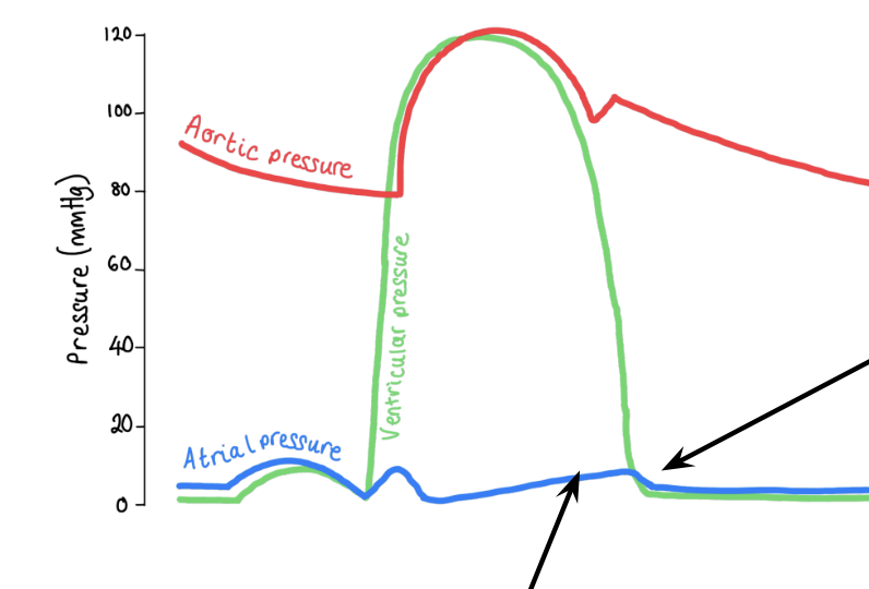 <p>explain what happens on this part of the graph</p>