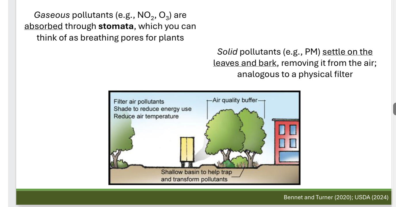 <p><span><span>Identify several benefits of planting trees in urban areas</span></span></p>