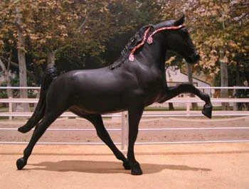 <p>Rack</p>