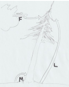 <p>Formula for dynamic load</p>