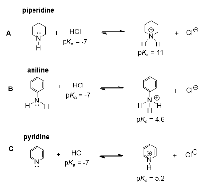 <p>Below are three Bronsted-Lowry acid base reactions (A-C). Which answer below correctly ranks the strength of the bases (piperidine, aniline, and pyridine) from strongest to weakest (strongest &gt; weaker &gt; weakest)?</p><p>A) pyridine &gt; piperidine &gt; aniline </p><p>B) aniline &gt; pyridine &gt; piperidine </p><p>C) piperidine &gt; pyridine &gt; aniline </p><p>D) piperidine &gt; aniline &gt; pyridine </p><p>E) all of the bases are of equal strength</p>