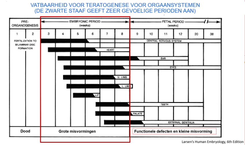 <p>→ zwarte staaf: zeer gevoelige perioden</p><ul><li><p>ontwikkeling van de verschillende stelsel: gebeurt in de embryonale periode</p><ul><li><p>embryonale periode is dus de meest gevoelige</p></li></ul></li></ul><p></p>