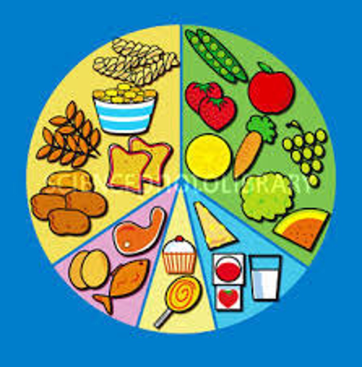 <p>diet</p>