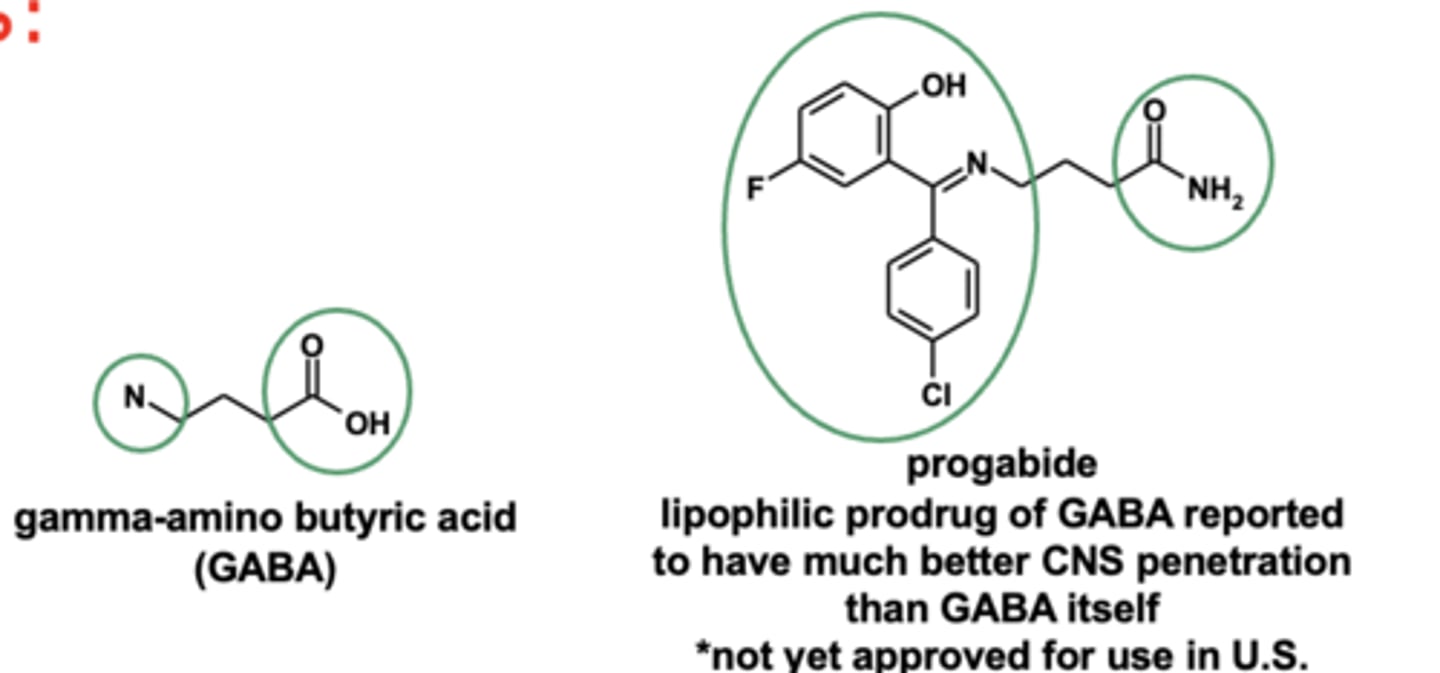 <p>- <strong>progabide is the lipohilic prodrug</strong> of GABA, reported to have much <strong>better CNS penetration</strong> than GABA itself</p>