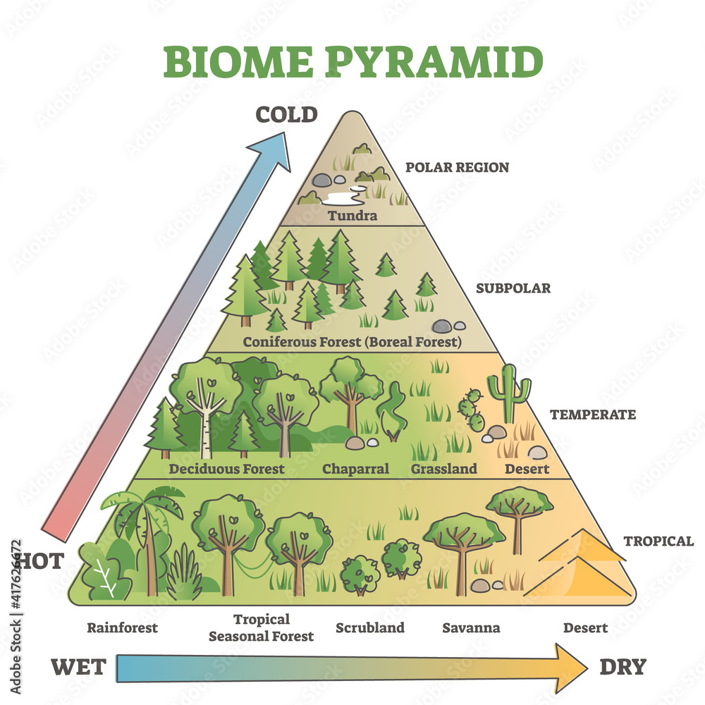 <p><span style="color: #34a667">Definition of biomes</span></p>