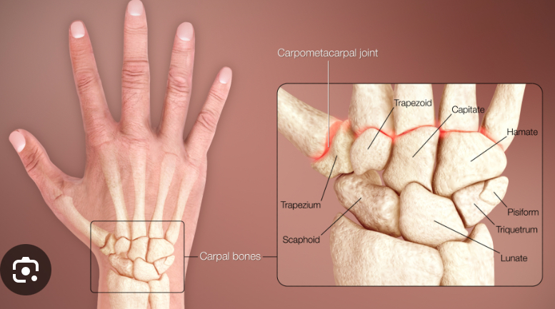 <p>Encompassing the palm</p>