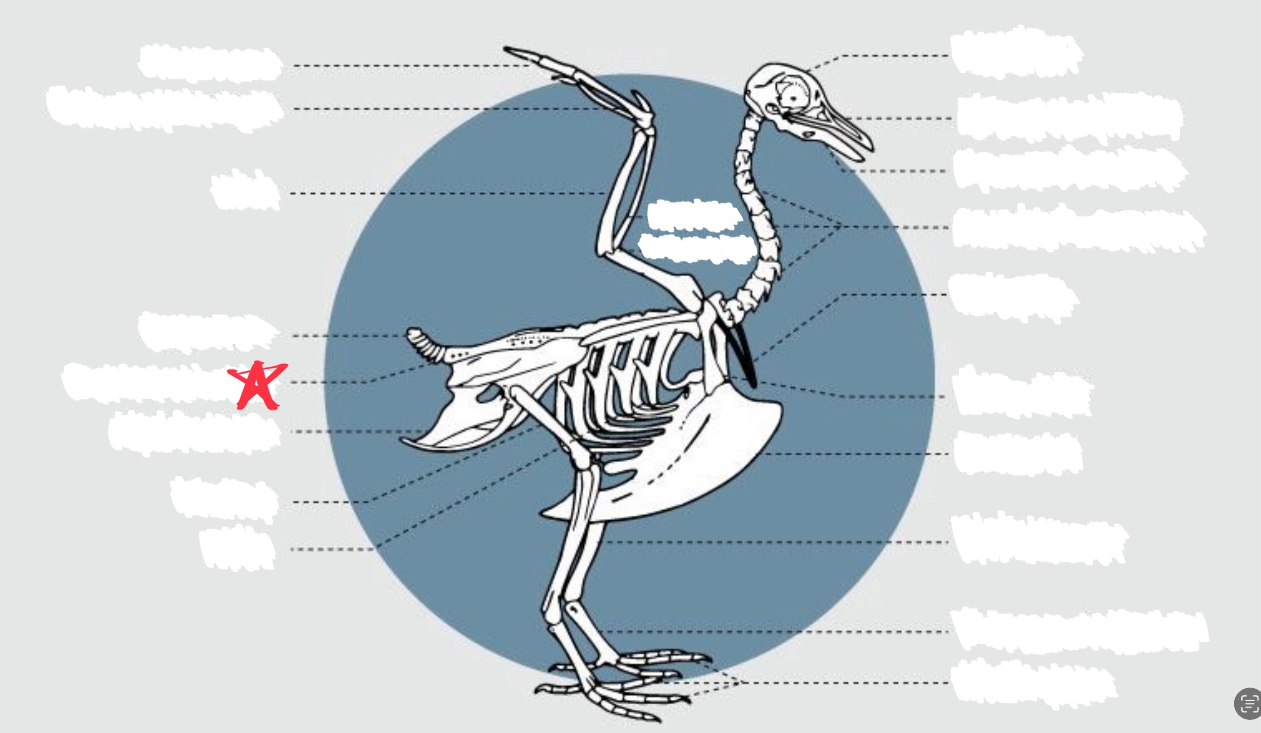 knowt flashcard image