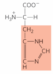 <p>What is this?</p>