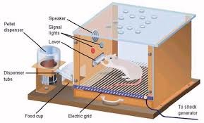 <p>Also known as: Operant Chamber</p><p>Description: A chamber containing a bar or key that an animal (rat or pigeon) can manipulate in order to obtain a reward</p>