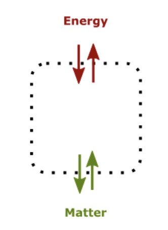 <ul><li><p><strong>Def</strong>: when both energy and matter can move across the system boundary</p></li><li><p>the most common natural system</p></li><li><p>show by a dotted boundary </p></li></ul><p></p>