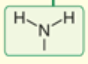 <p>wavenumber of primary amines</p>