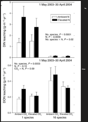 <p>Nitrogen and leaching</p>