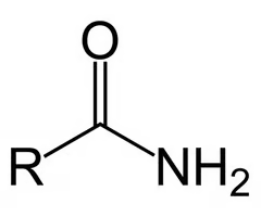 <p>C doubled bonded to O and single bonded to amine group (NH2)</p>