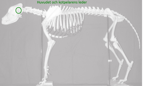 <p>Vad är markerat?</p>