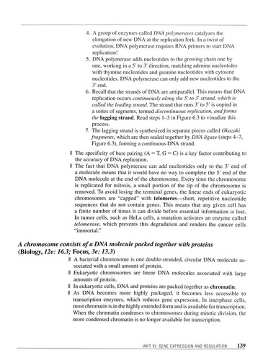 <p>Influences gene expression in eukaryotic chromosomes.</p>