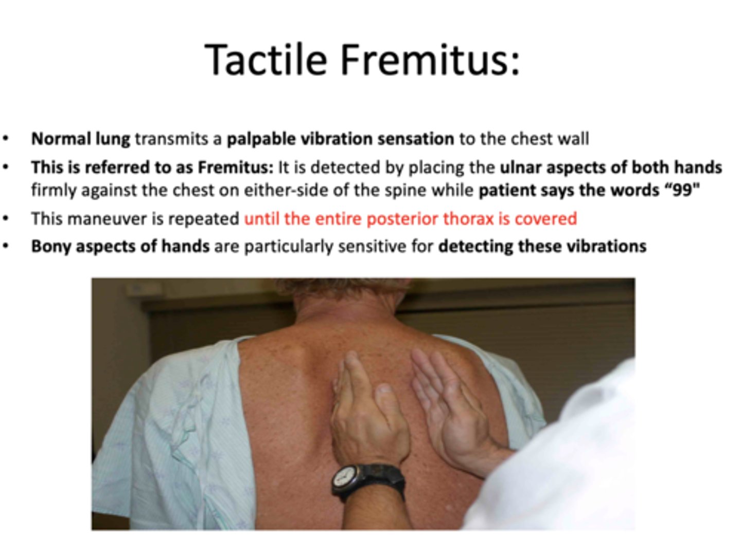 <p>fremitus</p>