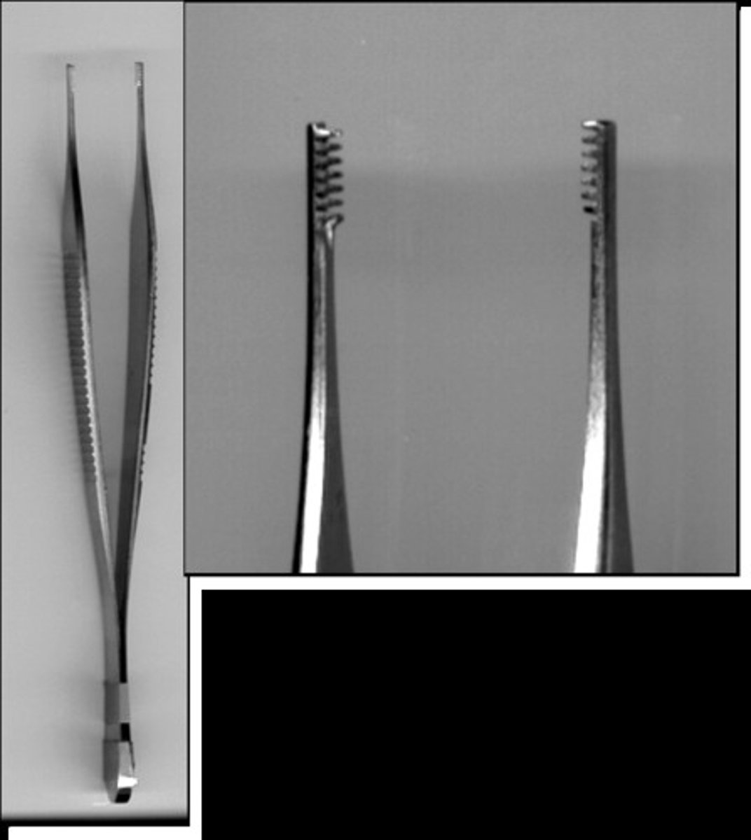 <p>Similar to Adson but with a broader tip for tissue handling.</p>