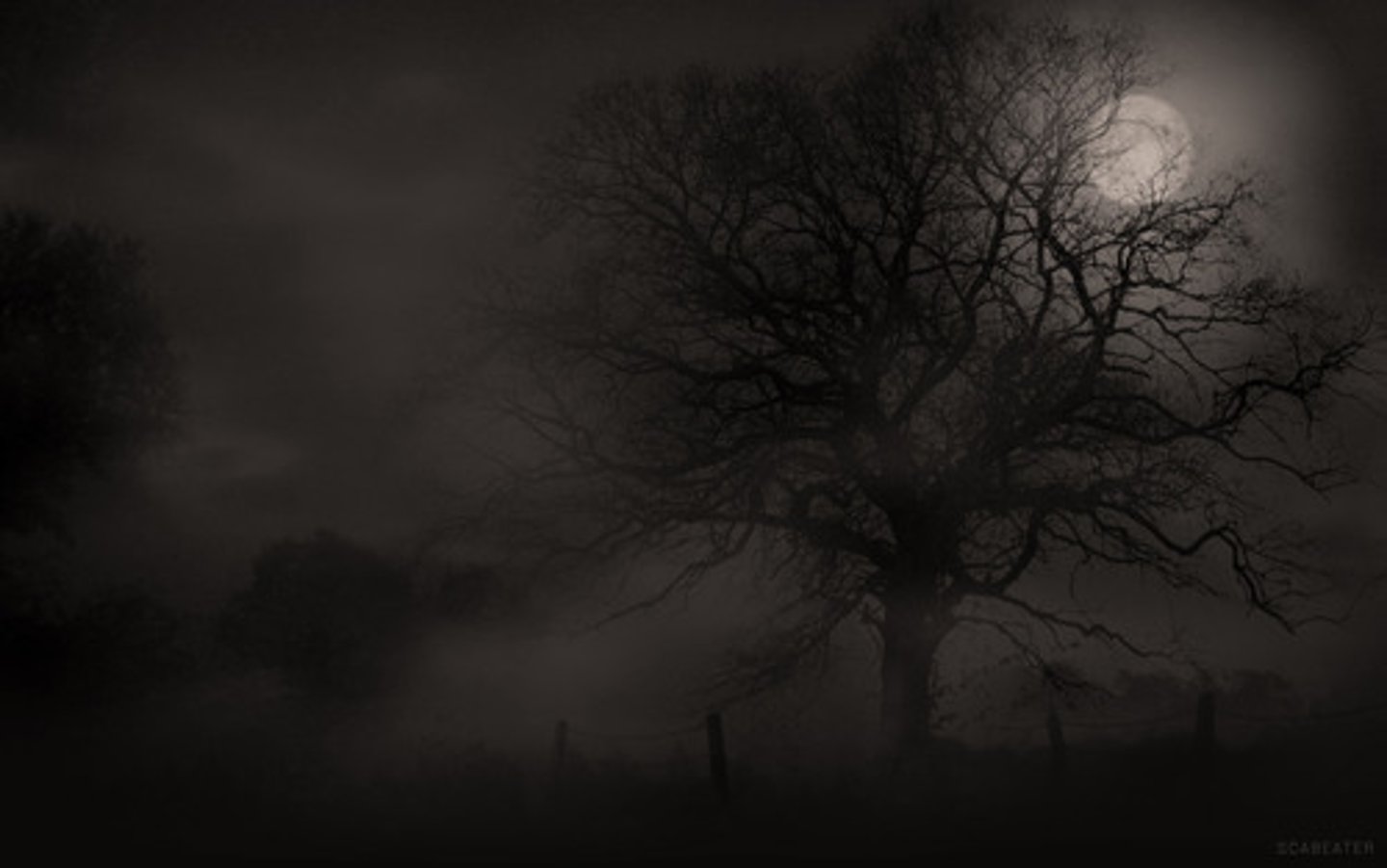<p>black, gloomy, deadly</p>