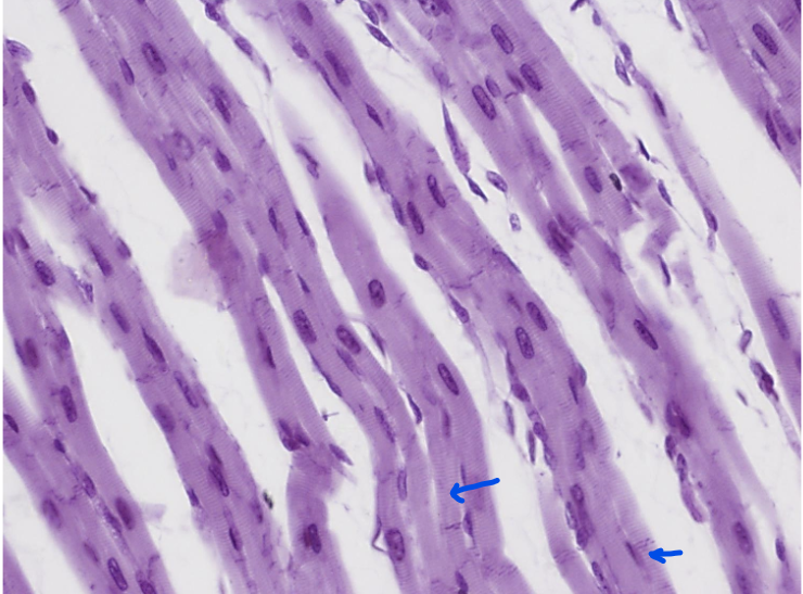 <p>What is this?</p>