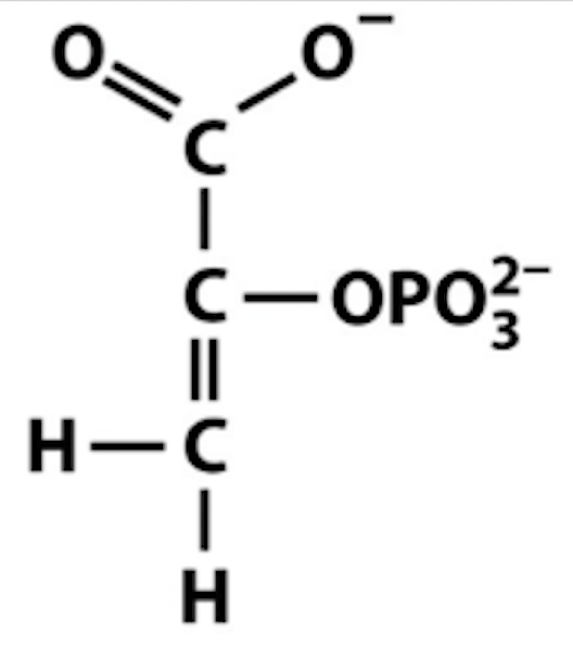 <p>Name that structure.</p>