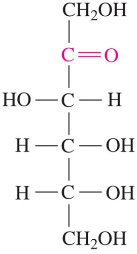 <p>ketohexose; sweetest of all natural sugars</p>
